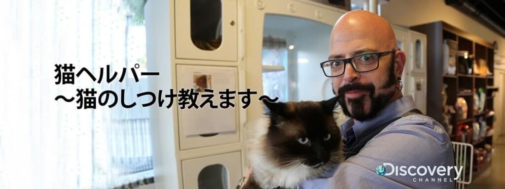 アニマルプラネット 猫ヘルパー猫のしつけ教えます 問題猫を救え 内容と感想 キシマの映画ブログ アニマルプラネット 猫ヘルパー猫のしつけ教えます 問題猫を救え 内容と感想 キシマの映画ブログ
