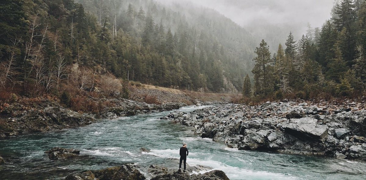 死にたくなった時に見たい映画10作 元気が出る 人生について考える映画を紹介 キシマの映画ブログ